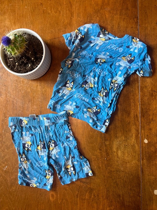 Bluey Other - Blue Kids' Character Pajama Set - Short Sleeve Top & Shorts